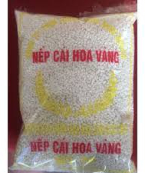 nếp cái hoa vàng