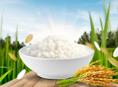 Bạn đang tìm 1 đại lý gạo uy tín gạo sạch hãy thử tìm hiểu Vựa Gạo Hoàng Phước nhé